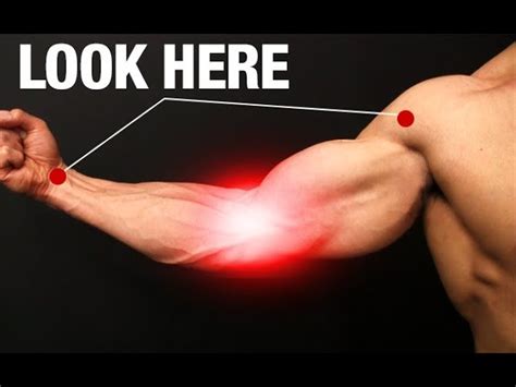 How to Fix Elbow Pain (ONE SIMPLE EXERCISE!) | ATHLEAN-X