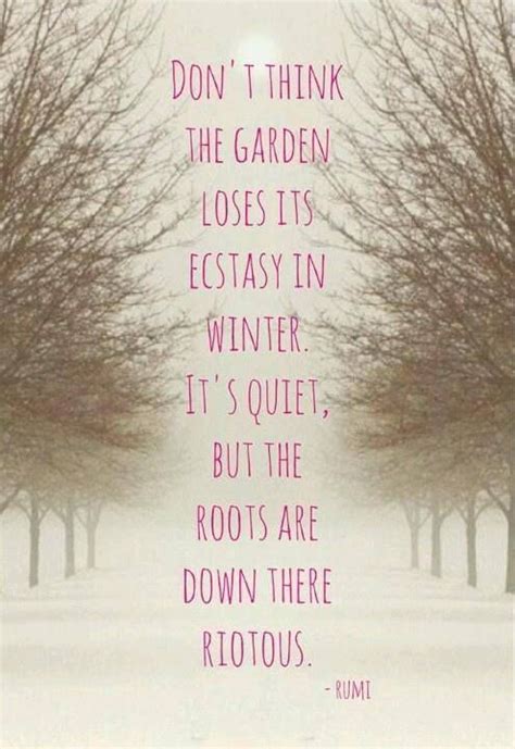 Winter garden thoughts Rumi Quotes, Nature Quotes, Yoga Quotes, Inspirational Quotes ...