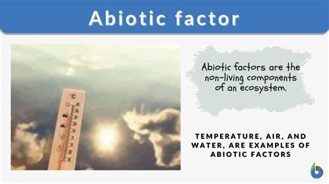 Abiotic factor - Definition and Examples - Biology Online Dictionary