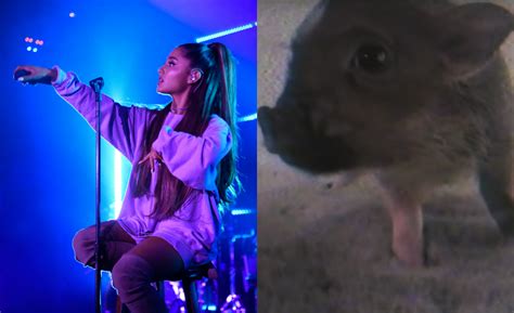 Ariana Grande's Wholesome New Visuals For 'Breathin' Feature Her Bébé Pig