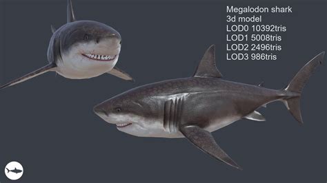 Megalodon Game-ready - YouTube