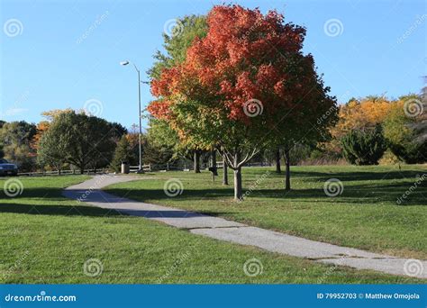 Trees with Fall Colors in Omaha Park Nebraska Stock Image - Image of colors, trees: 79952703