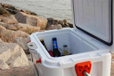 5 Best Coolers On the Market For Every Budget