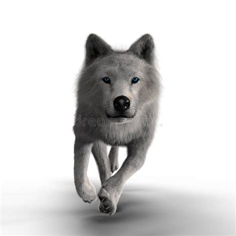 White Wolf Stock Illustrations – 41,733 White Wolf Stock Illustrations, Vectors & Clipart ...