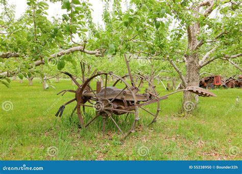 An Historic Potato Harvester Used By Early Pioneers Stock Photo - Image: 55238950