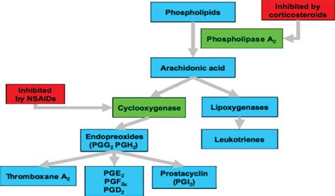 Glucocorticoids - Endocrine - Medbullets Step 1