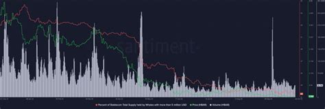 Hedera: Everything latest you need to know before investing in HBAR ...