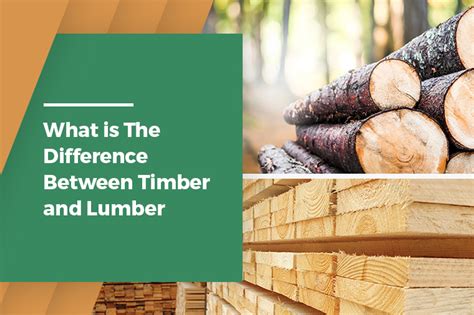 What Is The Difference Between Timber and Lumber