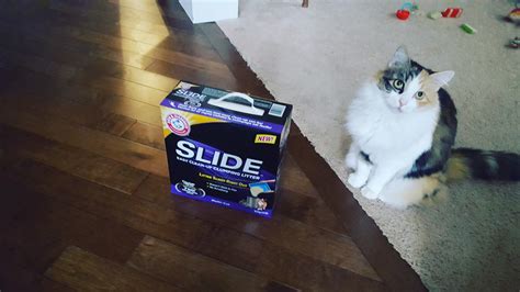 Arm & Hammer Slide Easy Clean-Up Clumping Litter (Multi-Cat) reviews in Cat Litter - ChickAdvisor