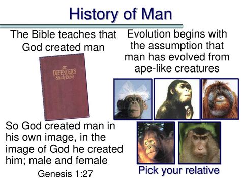 PPT - The Origin of Humans PowerPoint Presentation, free download - ID:5510104