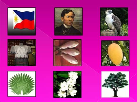 Mga Pambansang Sagisag Ng Pilipinas The Philippines Today | Images and Photos finder