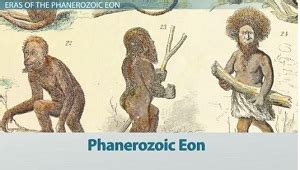 The History of Life on Earth: Timeline and Characteristics of Major Eras - Video & Lesson ...