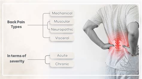 Back Pain: Common Causes, Diagnosis & Treatments