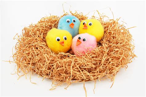 Baby Birds in a Nest | Kids' Crafts | Fun Craft Ideas | FirstPalette.com