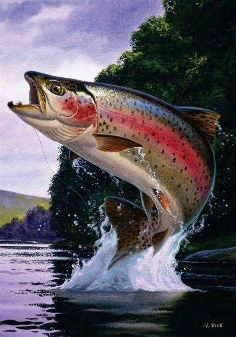 images of trout jumping out of water - Yahoo Image Search Results in 2023 | Fly fishing art ...