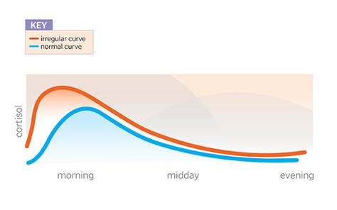 How to Balance Your Cortisol Levels Naturally