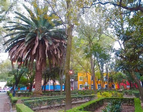 22 Things To Do In Coyoacan, Mexico City – More Than Frida’s House ...