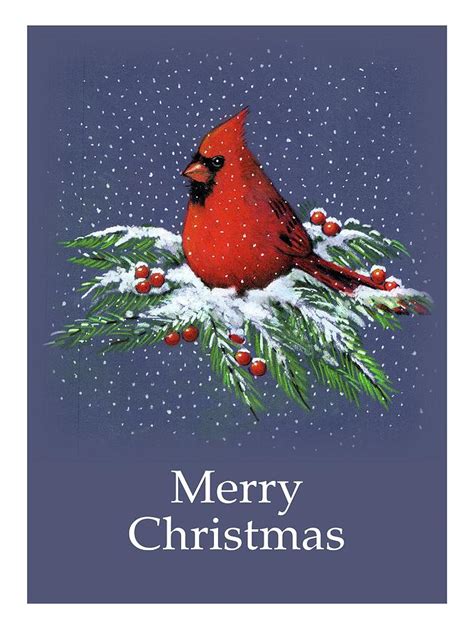 Cardinal On Snowy Pine Branches, Merry Christmas Drawing by Joyce Geleynse