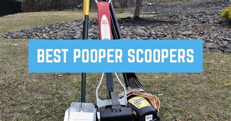 Best Pooper Scooper [Hands On Reviews!] – Woof Whiskers