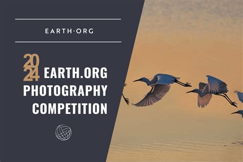 EO Nature and Wildlife Photo Competition 2024 - Youth Opportunities