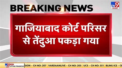 Ghaziabad Court परिसर से पकड़ा गया तेंदुआ, वन विभाग टीम ने तेंदुए को बेहोश कर पकड़ा | Delhi-NCR ...