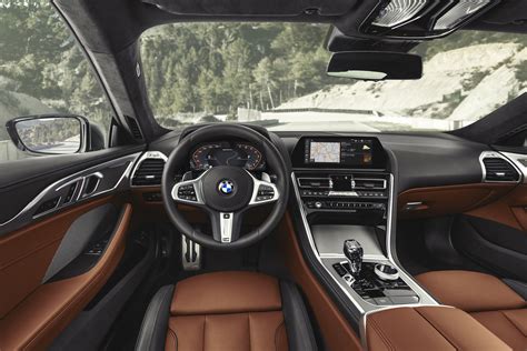 BMW 850i xDrive Coupe (2019) - picture 6 of 8