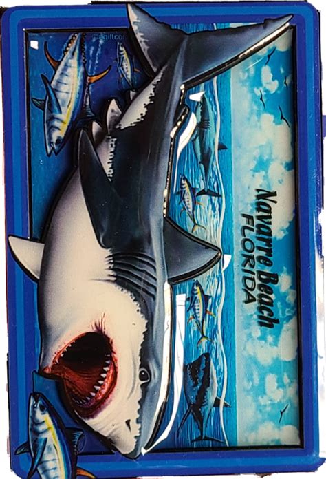 Shark Relief Magnet - Island Style Florida