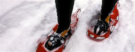 Snowshoeing | Black Hills & Badlands - South Dakota