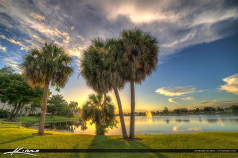 Royal Palm Beach Florida Palm Tree at Park | HDR Photography by Captain Kimo