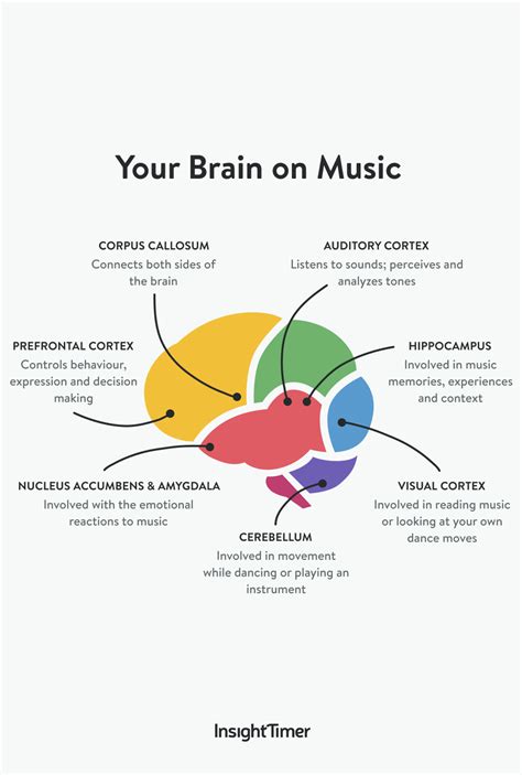 Your brain on music infographic meditation mindfulness insight timer – Artofit