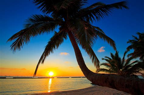 Fondos de pantalla : luz de sol, Árboles, paisaje, puesta de sol, mar, playa, amanecer, noche ...