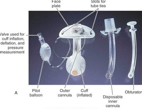 parts tracheostomy tube – Ace Achievers