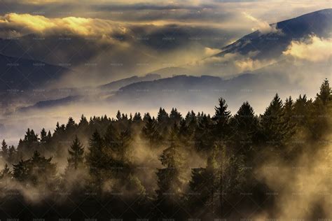 Foggy Landscape With Trees - Stock Photos | Motion Array