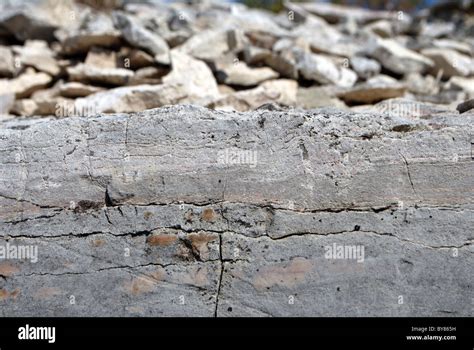 dolomite rock texture Stock Photo - Alamy