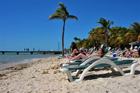 Sunning at Higgs Beach in Key West, Florida - Encircle Photos