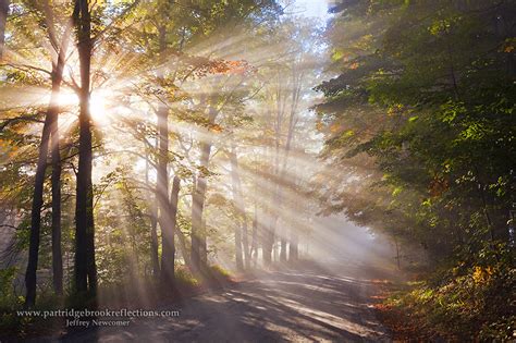 effect - How to create lighting with rays on the background? - Photography Stack Exchange