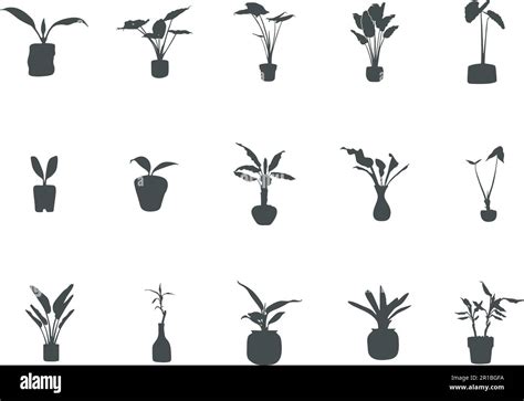 Potted plant silhouette, Potted tree silhouette, Indoor plant silhouette, Potted plan vector ...