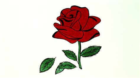 Red Rose Drawing at GetDrawings | Free download