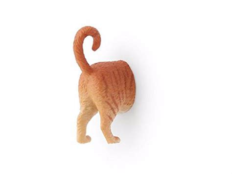 Cat Butt Magnets | Expertly Chosen Gifts