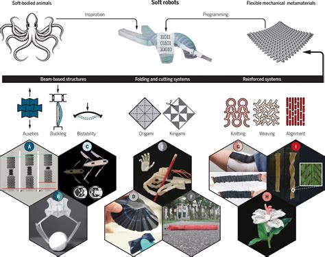 Programming soft robots with flexible mechanical metamaterials | Science Robotics