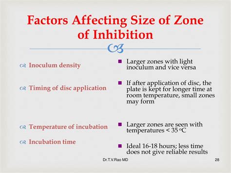 PPT - Antibiotic Sensitivity Testing PowerPoint Presentation - ID:114544