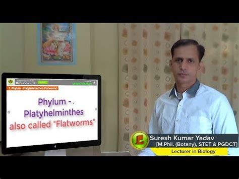 Ch.4 Animal Kingdom Part 7 Phylum : Platyhelminthes ( Class 11th Biology explained in Hindi ...