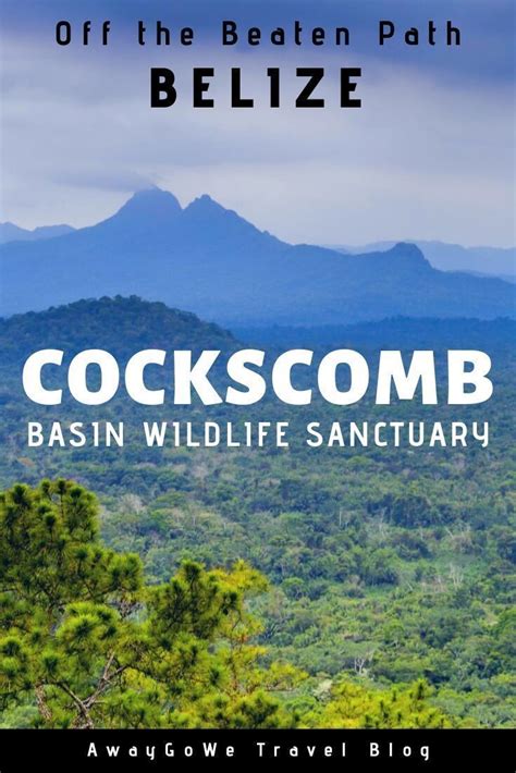 Cockscomb Basin Wildlife Sanctuary & Jaguar Preserve | Cockscomb basin ...