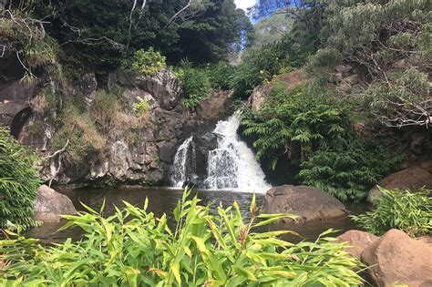 Waimea Waterfall - Hike to a Pristine Waterfall – Go Guides