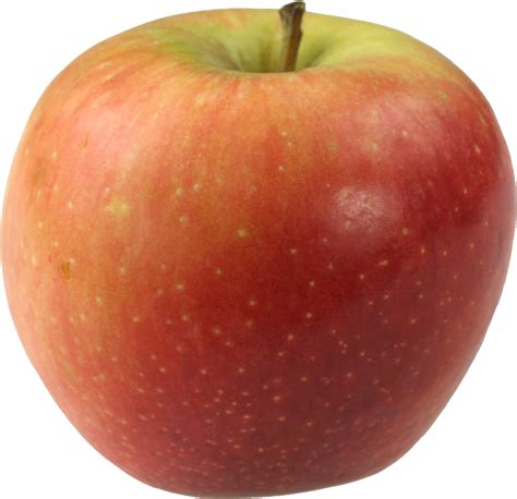 Apple PNG