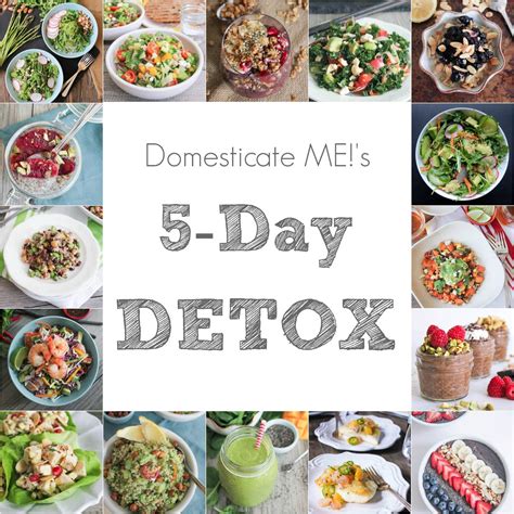 5-Day Detox Plan - Domesticate ME