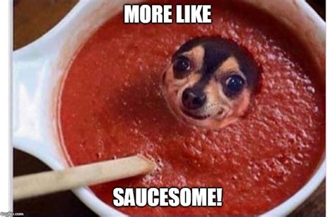 Sauce dog Memes - Imgflip