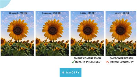 Lossy vs Lossless Image Compression: What’s the Difference?