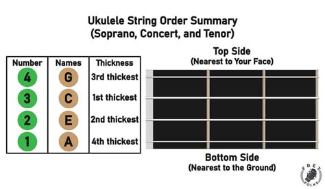 Ukulele String Notes, Names Numbers: What You Need Know | 6b.u5ch.com