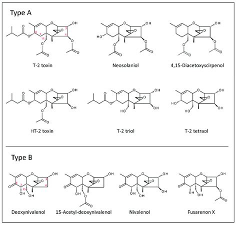 Chemical structures of important trichothecenes. | Download Scientific ...